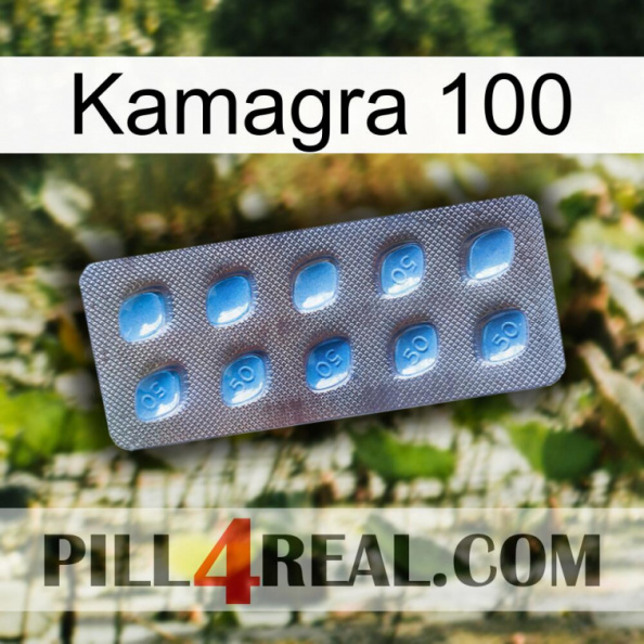 Kamagra 100 viagra3.jpg